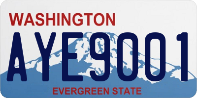 WA license plate AYE9001