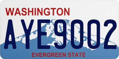 WA license plate AYE9002