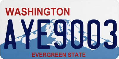 WA license plate AYE9003