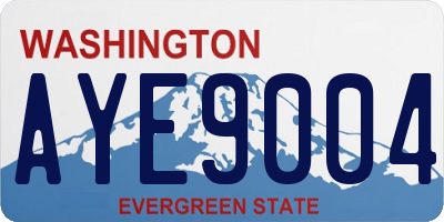 WA license plate AYE9004