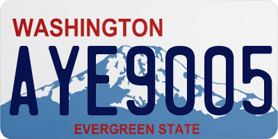 WA license plate AYE9005
