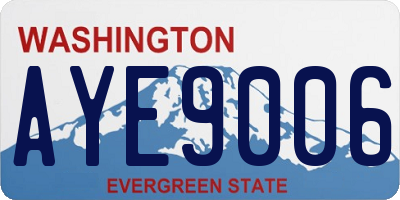 WA license plate AYE9006