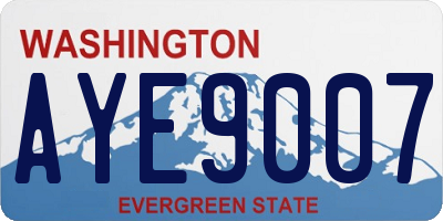 WA license plate AYE9007