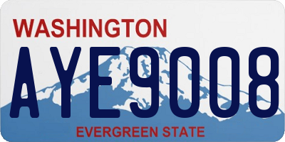 WA license plate AYE9008