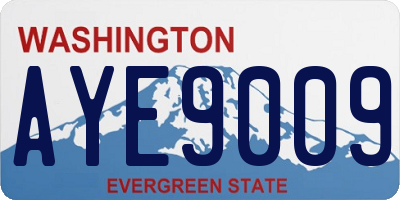 WA license plate AYE9009