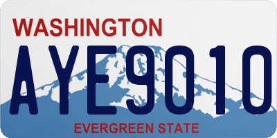 WA license plate AYE9010