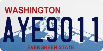 WA license plate AYE9011
