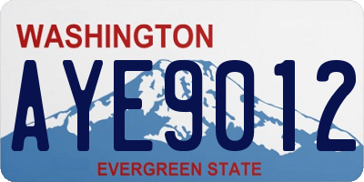 WA license plate AYE9012
