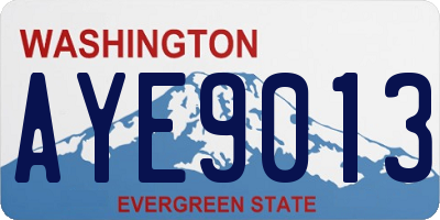 WA license plate AYE9013