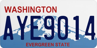 WA license plate AYE9014