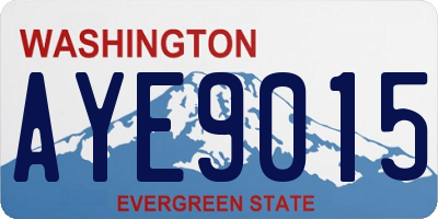 WA license plate AYE9015