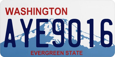 WA license plate AYE9016