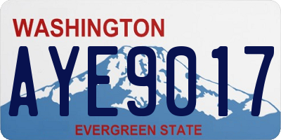 WA license plate AYE9017