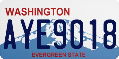 WA license plate AYE9018