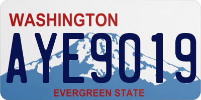 WA license plate AYE9019