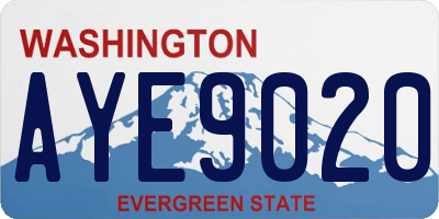 WA license plate AYE9020