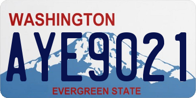 WA license plate AYE9021