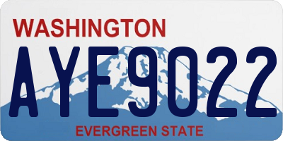 WA license plate AYE9022