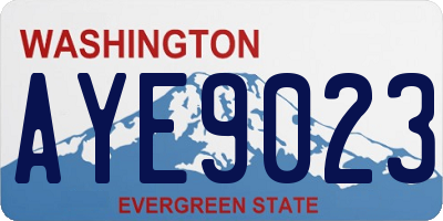 WA license plate AYE9023