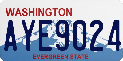 WA license plate AYE9024