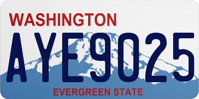 WA license plate AYE9025