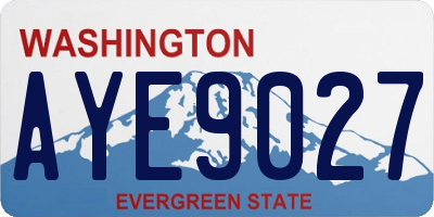 WA license plate AYE9027