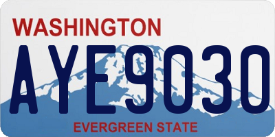 WA license plate AYE9030