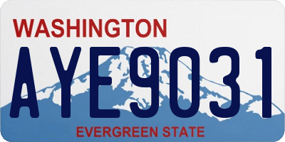 WA license plate AYE9031