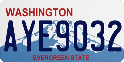 WA license plate AYE9032