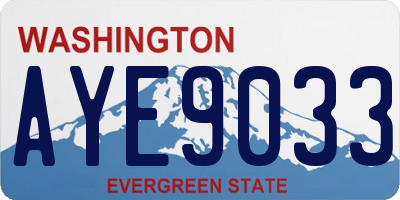WA license plate AYE9033