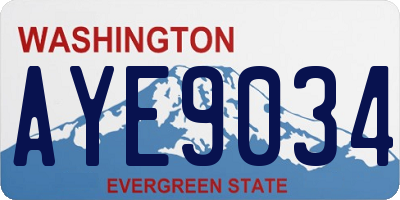 WA license plate AYE9034