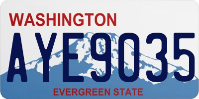 WA license plate AYE9035
