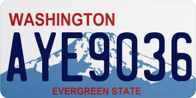 WA license plate AYE9036