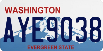 WA license plate AYE9038