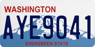 WA license plate AYE9041