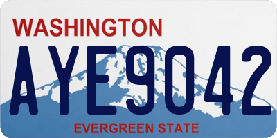 WA license plate AYE9042