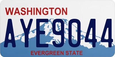 WA license plate AYE9044