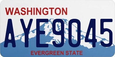 WA license plate AYE9045