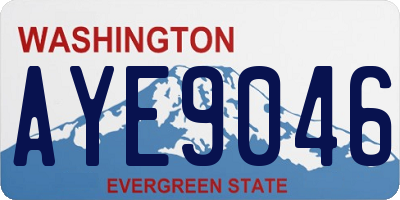 WA license plate AYE9046