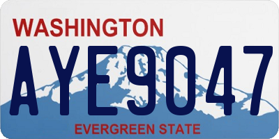 WA license plate AYE9047