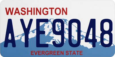 WA license plate AYE9048