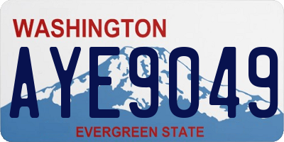 WA license plate AYE9049