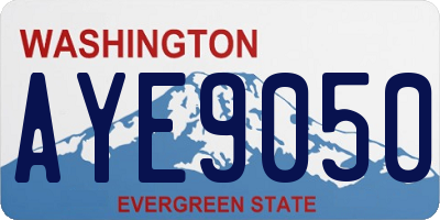 WA license plate AYE9050
