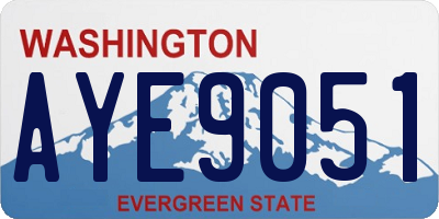 WA license plate AYE9051