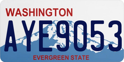 WA license plate AYE9053