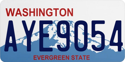 WA license plate AYE9054