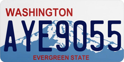 WA license plate AYE9055