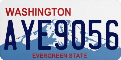 WA license plate AYE9056
