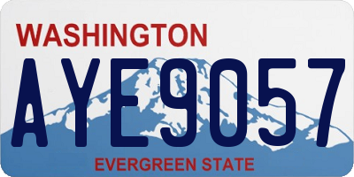 WA license plate AYE9057