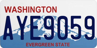 WA license plate AYE9059